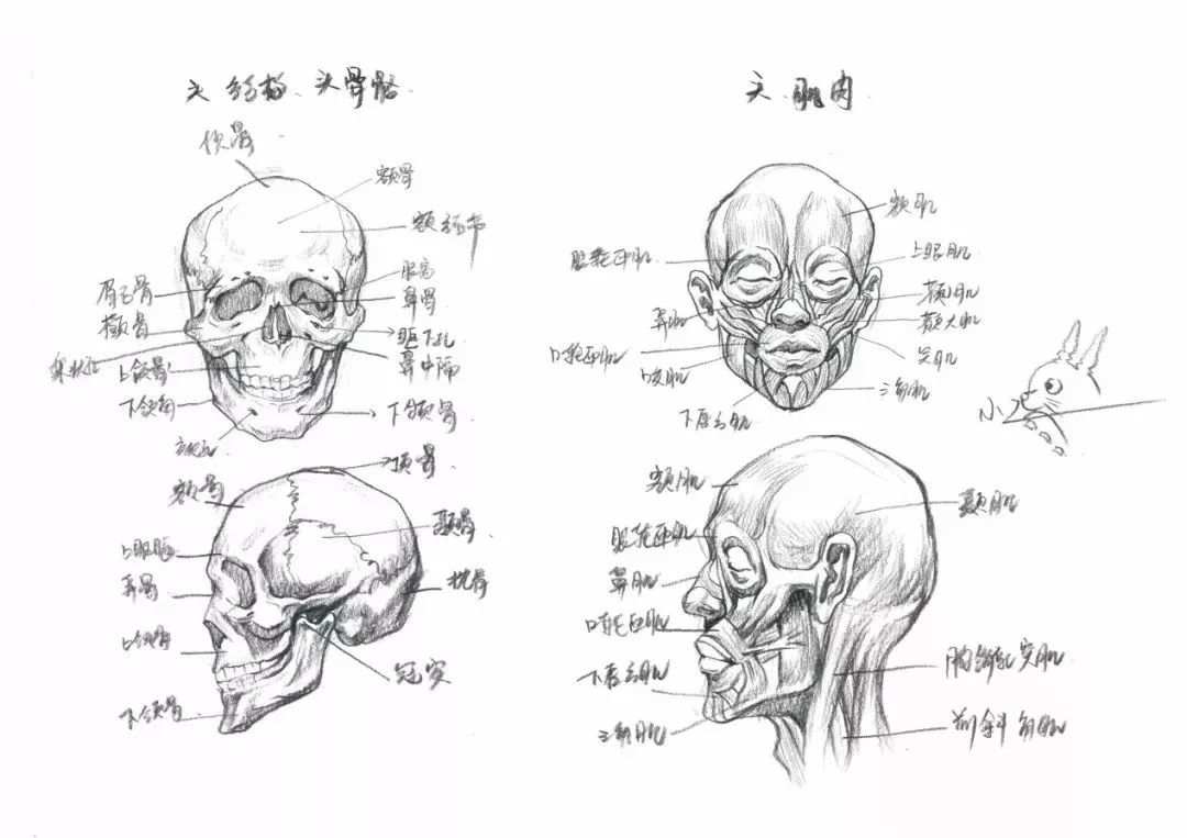 鄭州美術培訓班